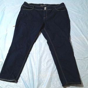 Copper Fresh Dark Wash Jeans Plus 24W